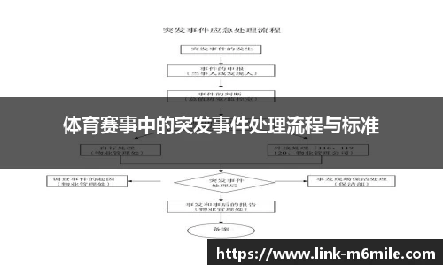 体育赛事中的突发事件处理流程与标准